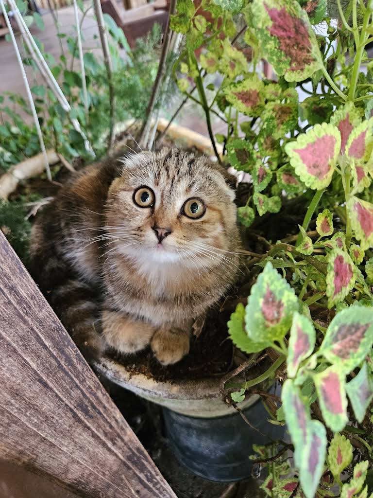 Afternoon at WoodHouse