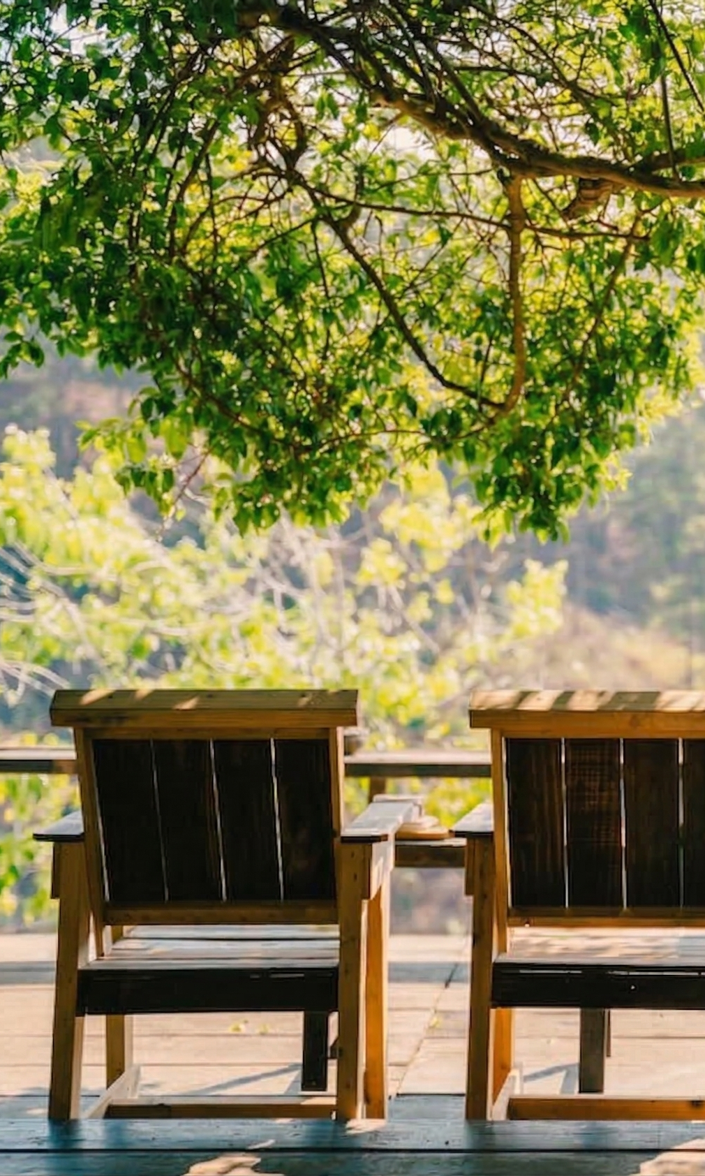 Chi tiết Kén Gỗ