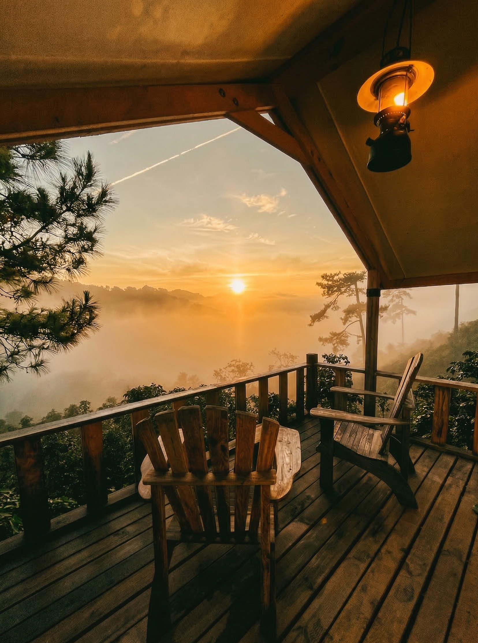 Morning at WoodHouse