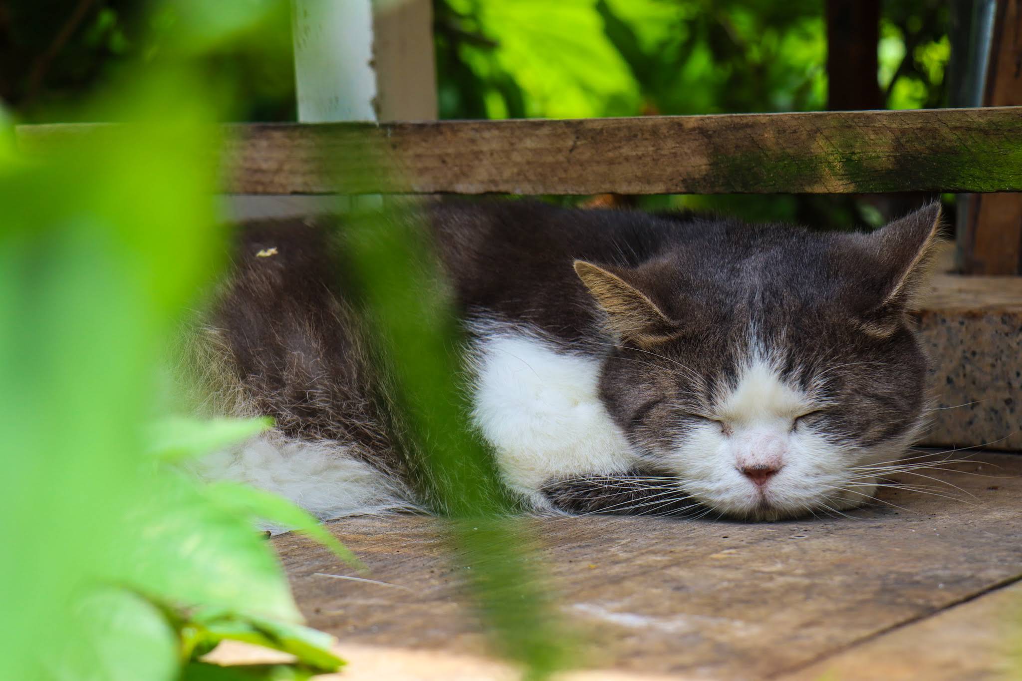 Khách hàng trải nghiệm